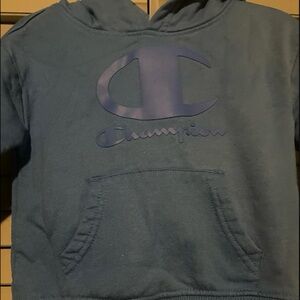 Champion Kids Teal Hoodie